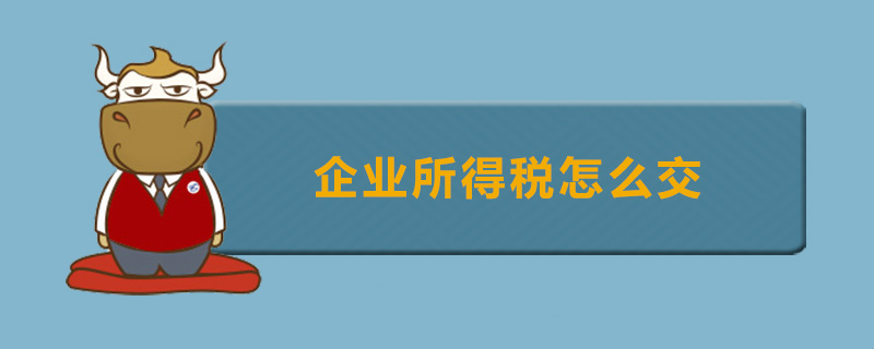 企业所得税怎么交