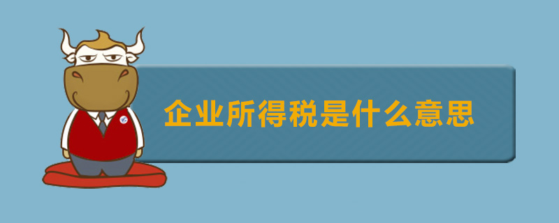 企业所得税是什么意思