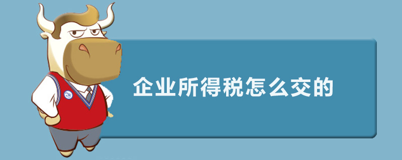 企业所得税怎么交的