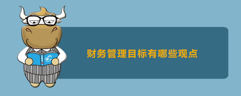 财务管理目标有哪些观点