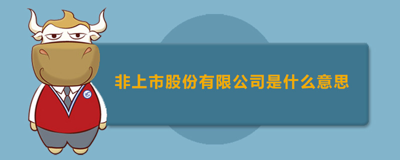 非上市股份有限公司是什么意思