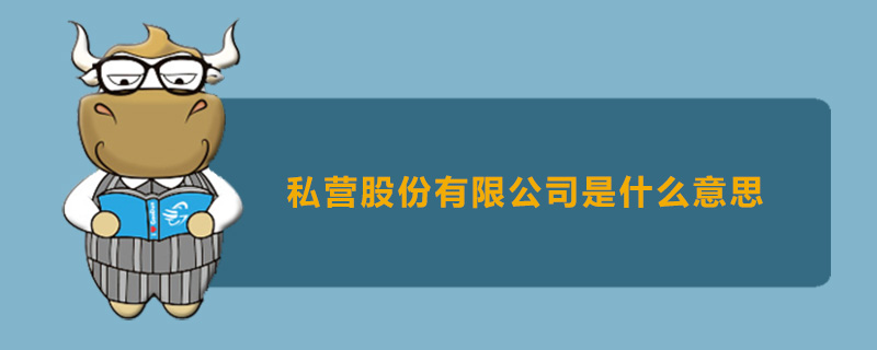 私营股份有限公司是什么意思