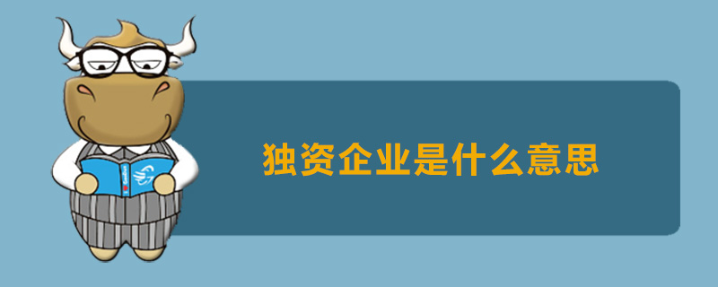 独资企业是什么意思