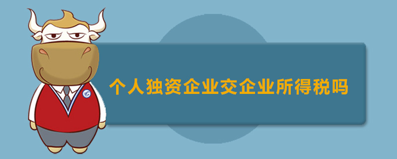 个人独资企业交企业所得税吗