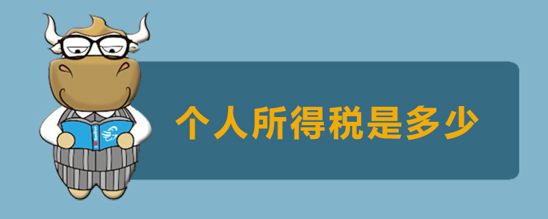 个人所得税是多少