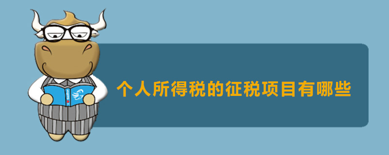 个人所得税的征税项目有哪些