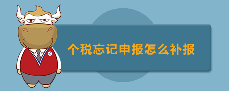 个税忘记申报怎么补报