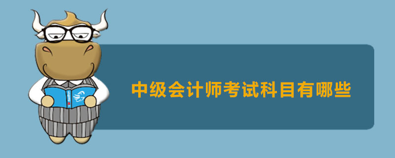 中级会计师考试科目有哪些