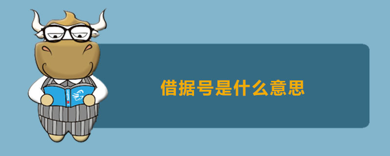 借据号是什么意思