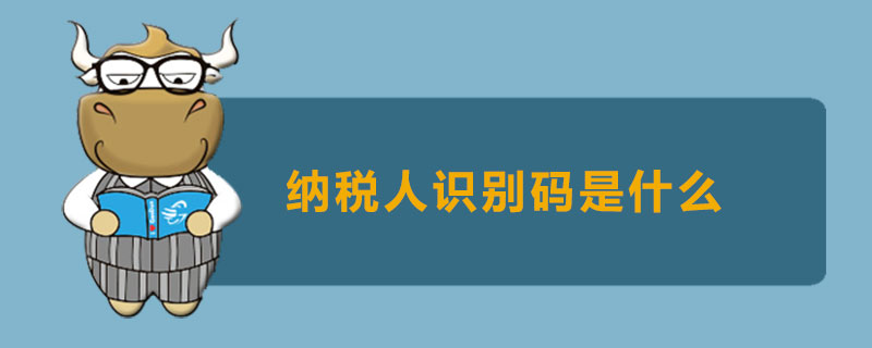 纳税人识别码是什么