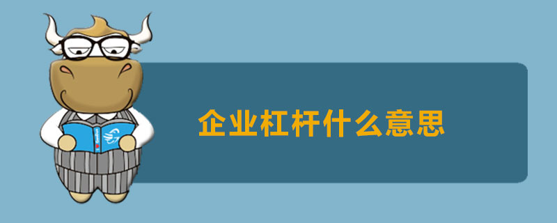 企业杠杆什么意思